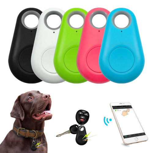 Bluetooth Pet Tag