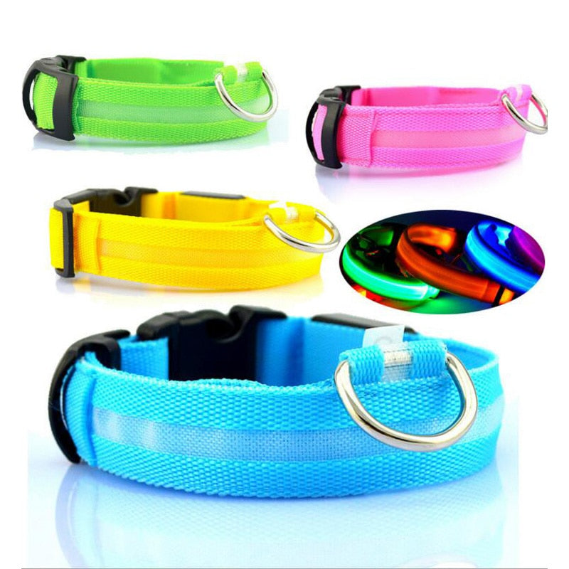 LED Safety Collar