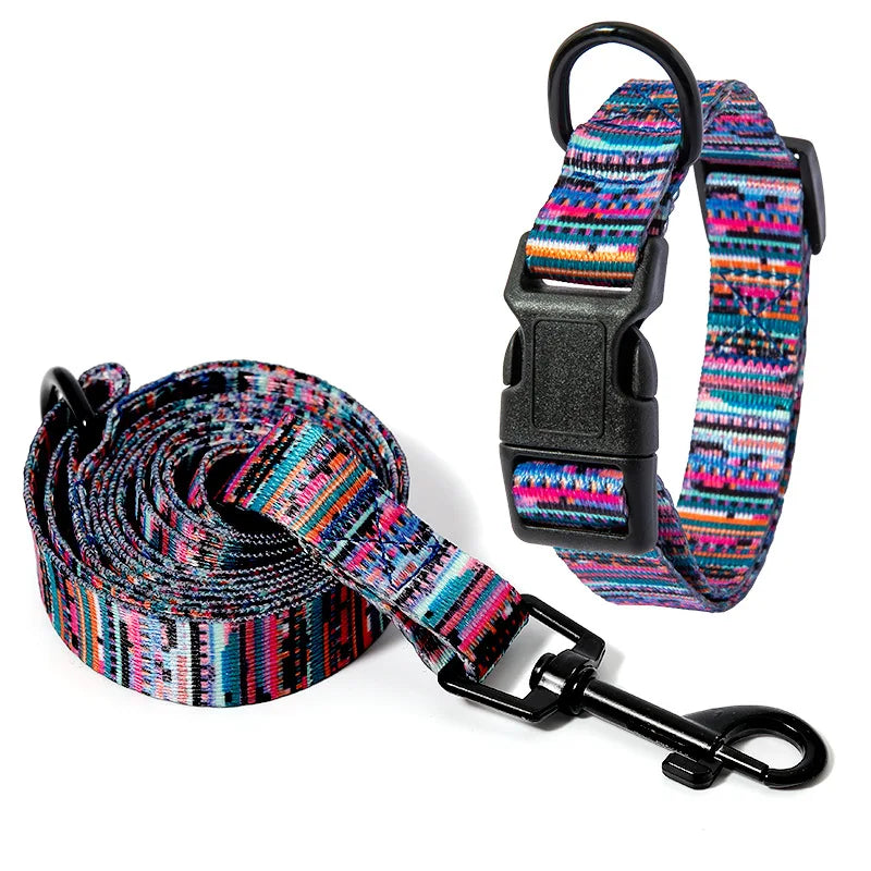 Collar and Leash Set
