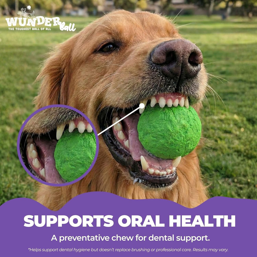 Wunderball Fetch Ball