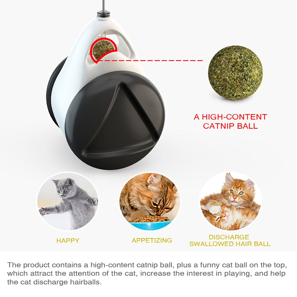Tumbler Swing Toy