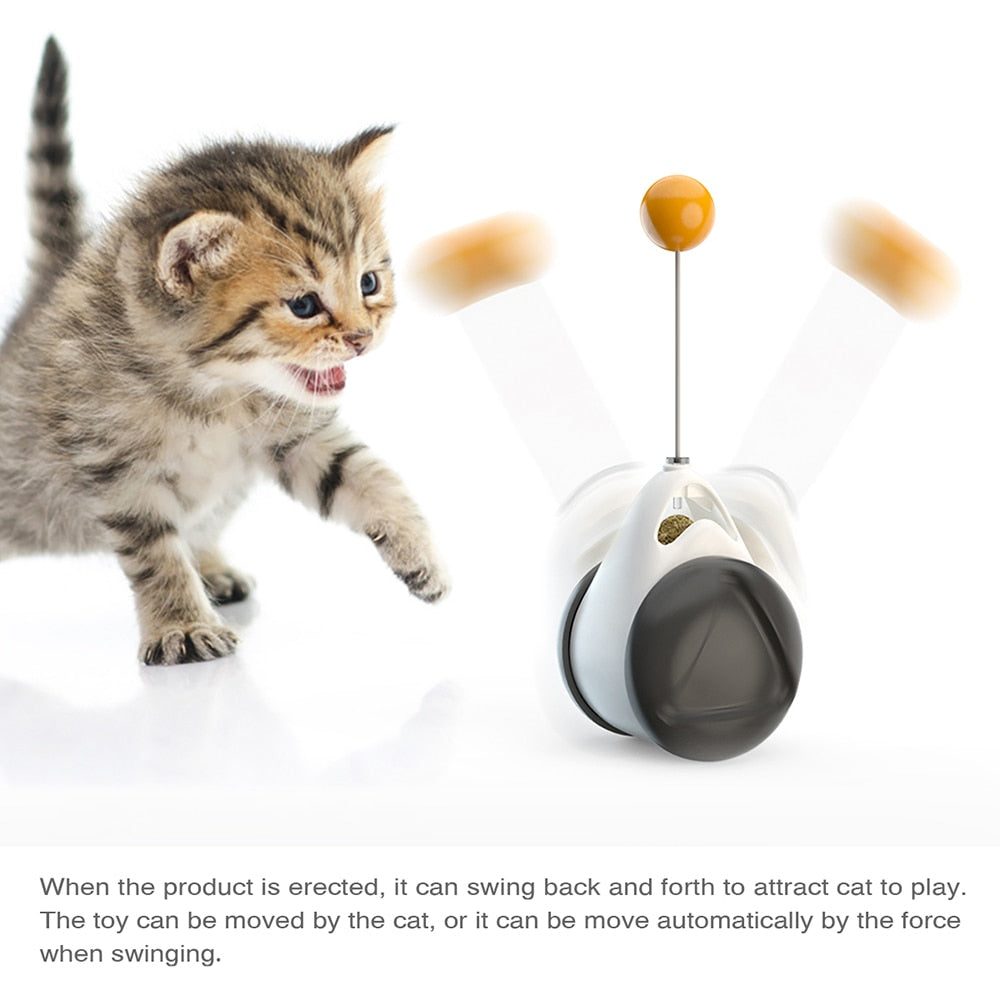 Tumbler Swing Toy