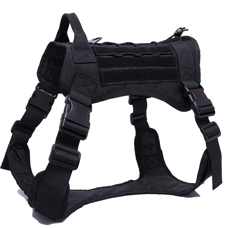 Harness and Leash Set