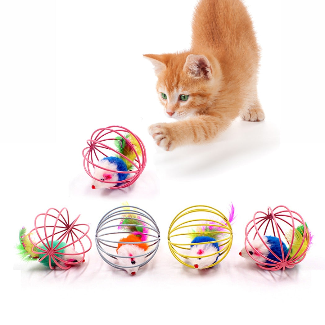 Feather Wand Toy