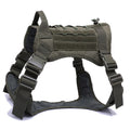 Harness and Leash Set