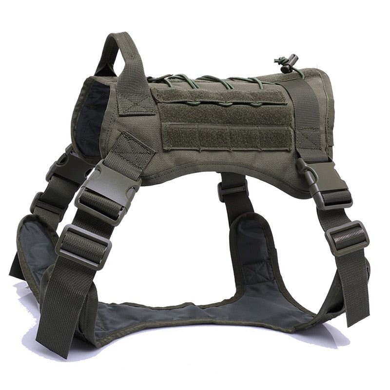Harness and Leash Set