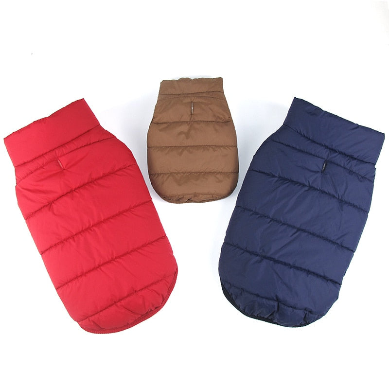 Winter Coat