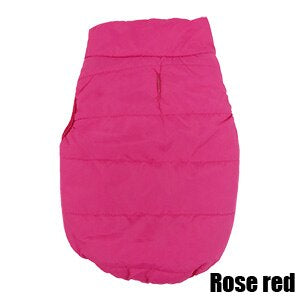 Winter Coat