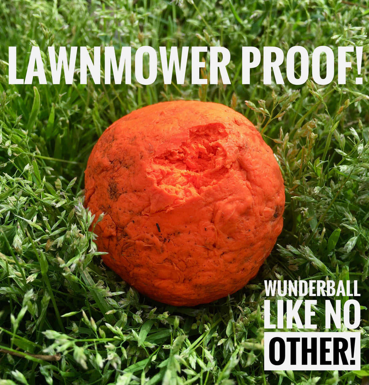 Wunderball Fetch Ball