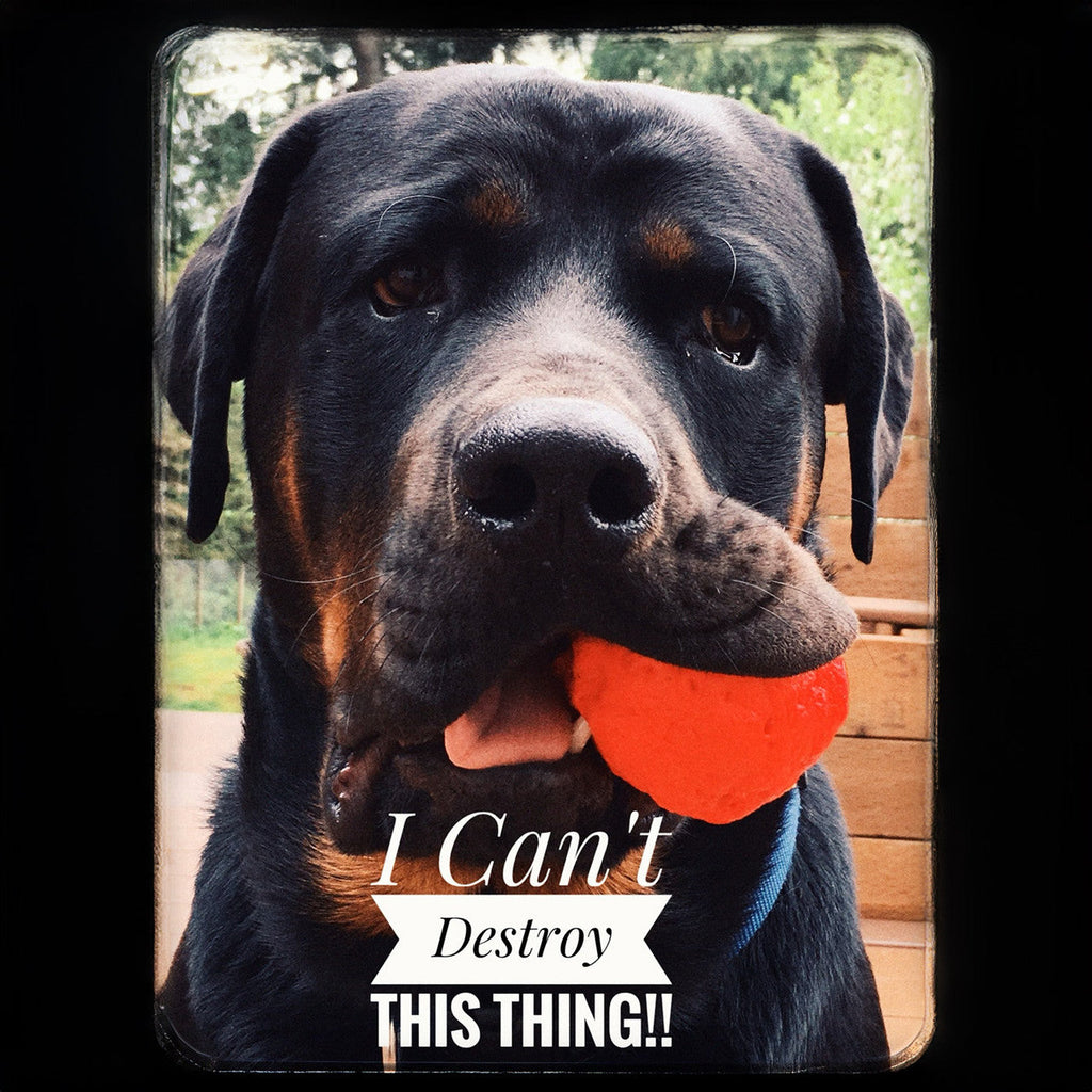 Wunderball Fetch Ball