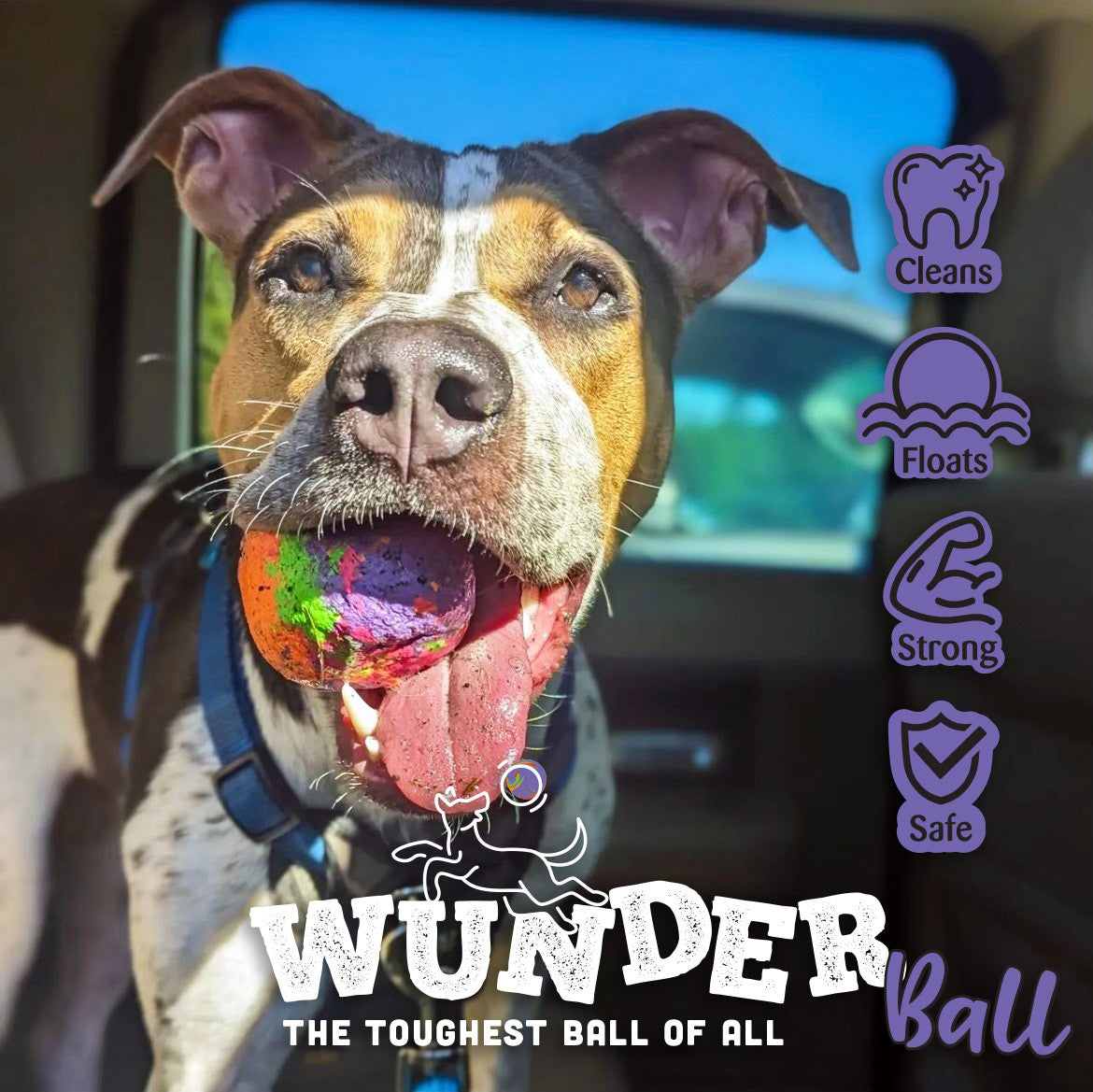 Wunderball Fetch Ball