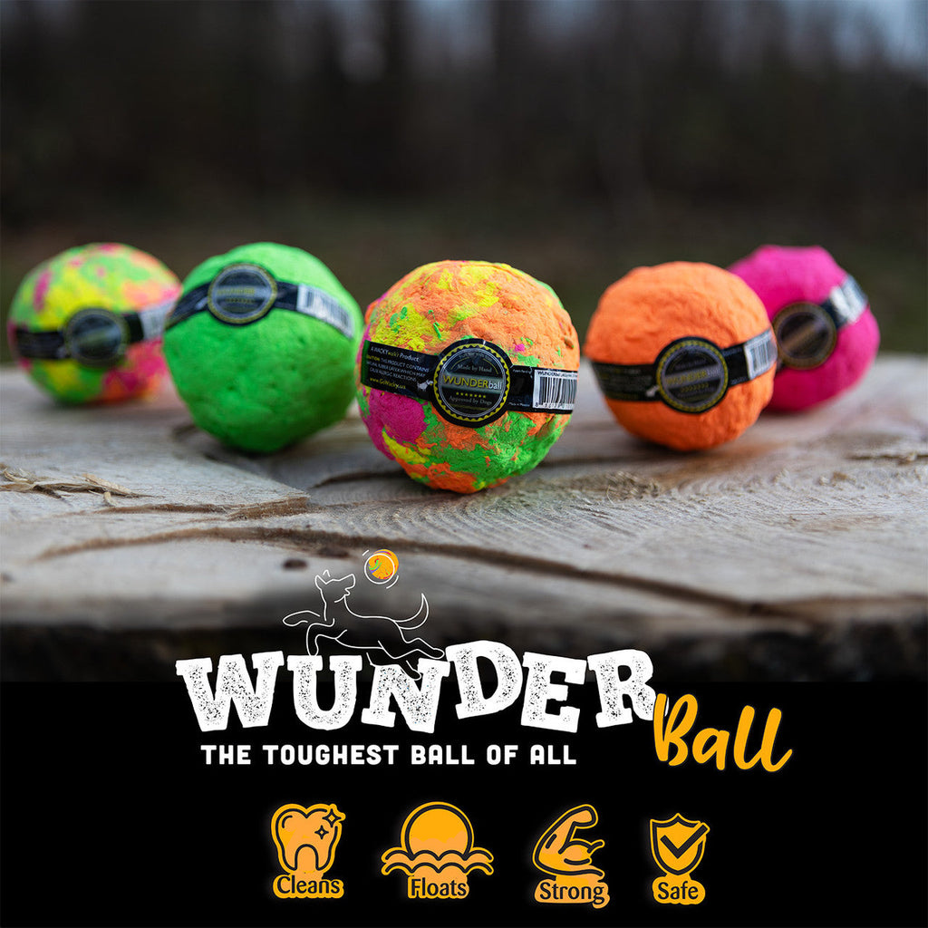Wunderball Fetch Ball