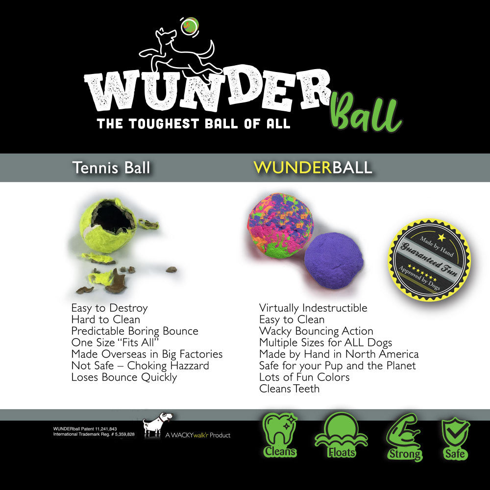 Wunderball Fetch Ball