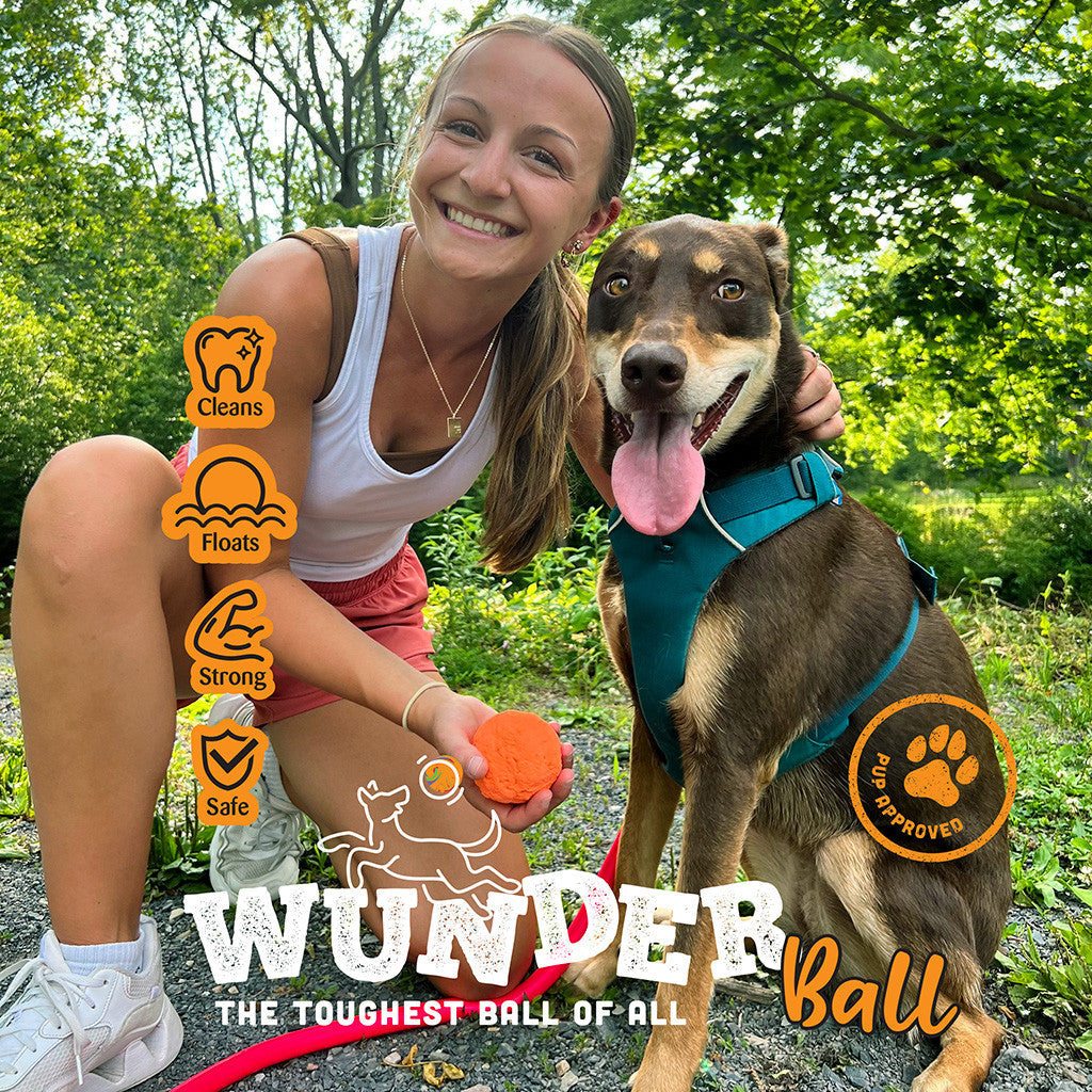 Wunderball Fetch Ball