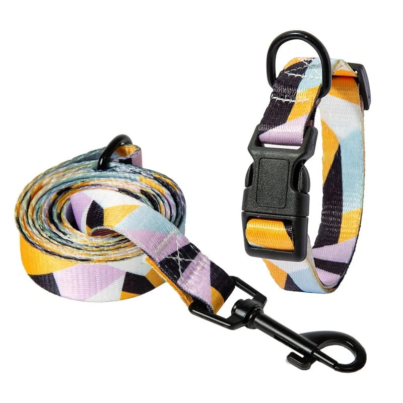 Collar and Leash Set