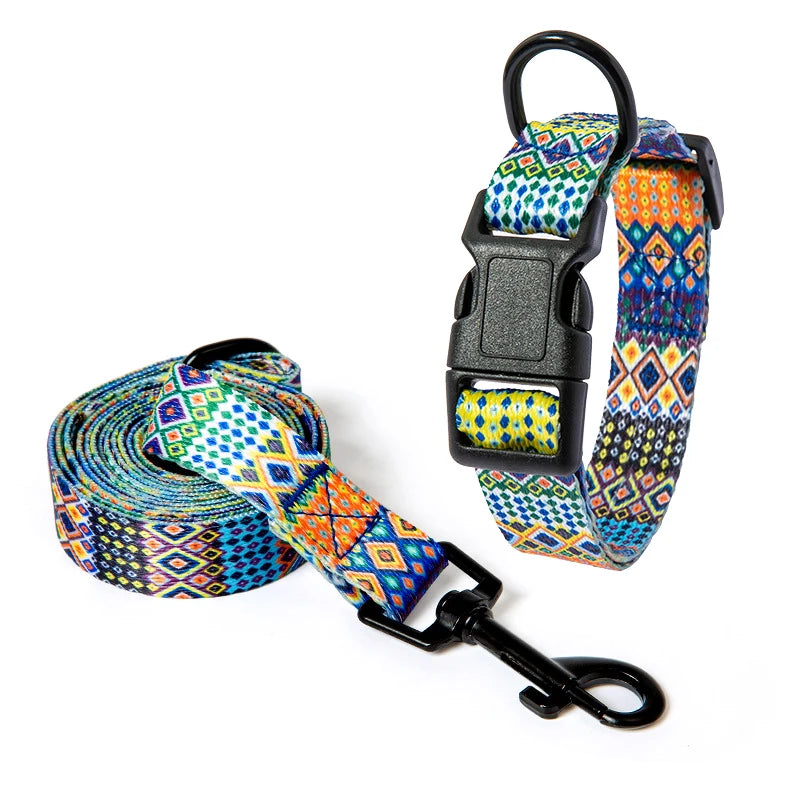 Collar and Leash Set