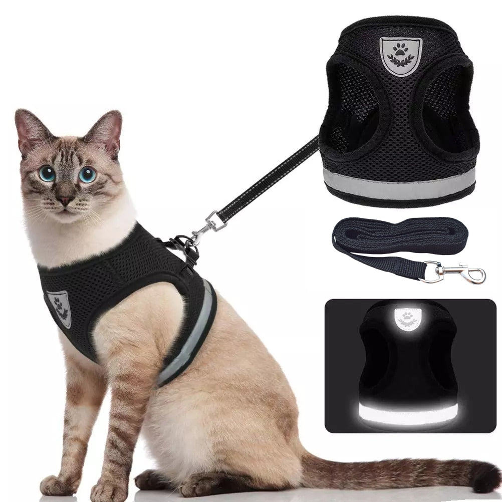 Reflective Mesh Harness
