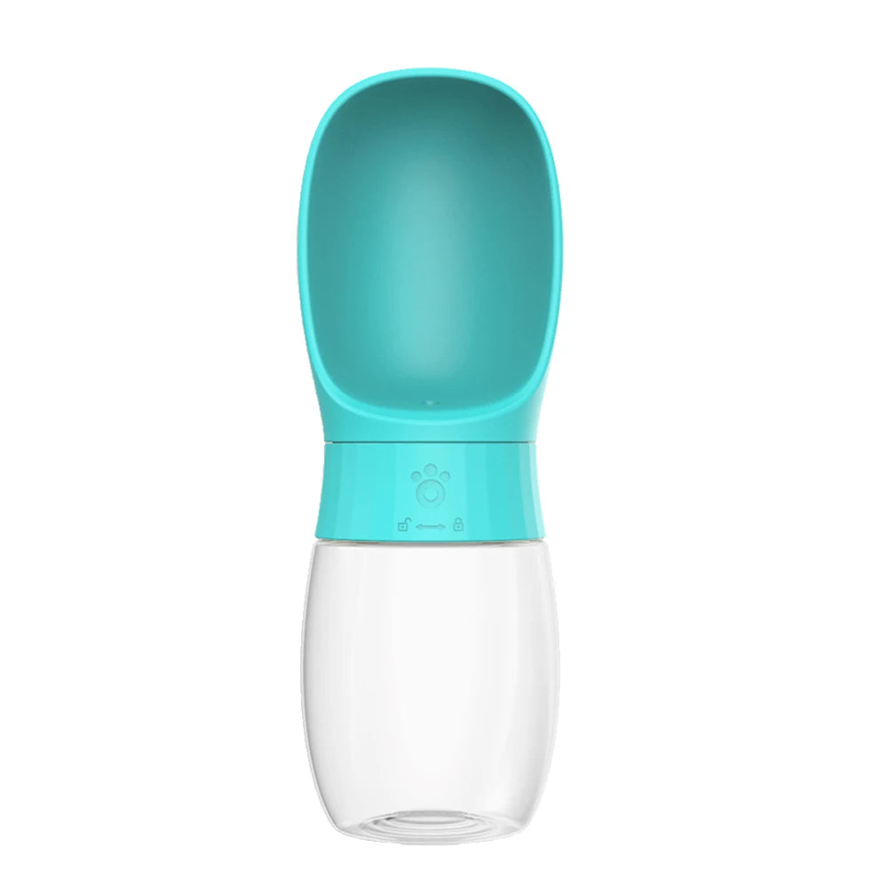 Travel Water Bottle