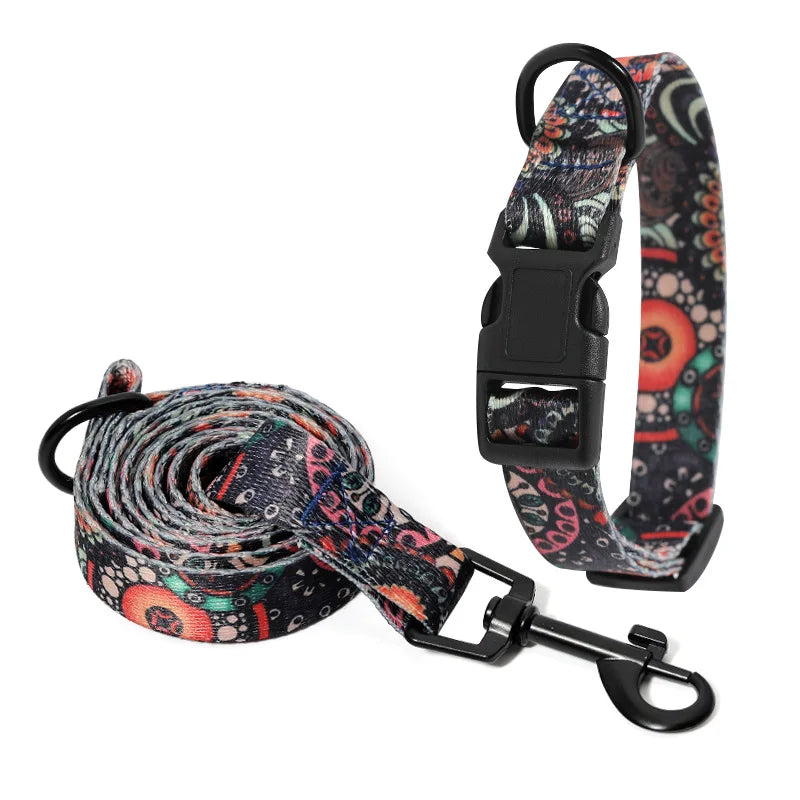 Collar and Leash Set
