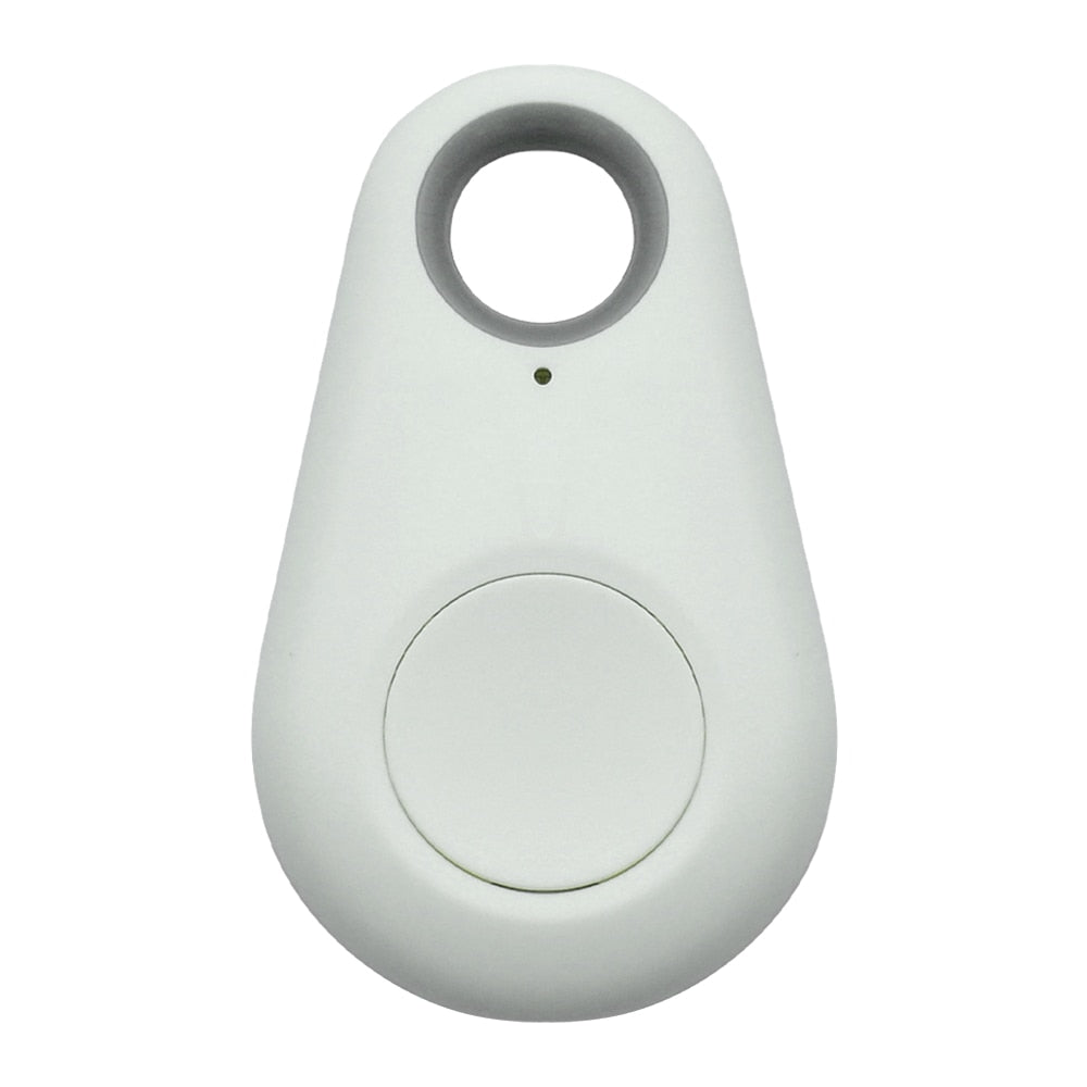 Bluetooth Pet Tag