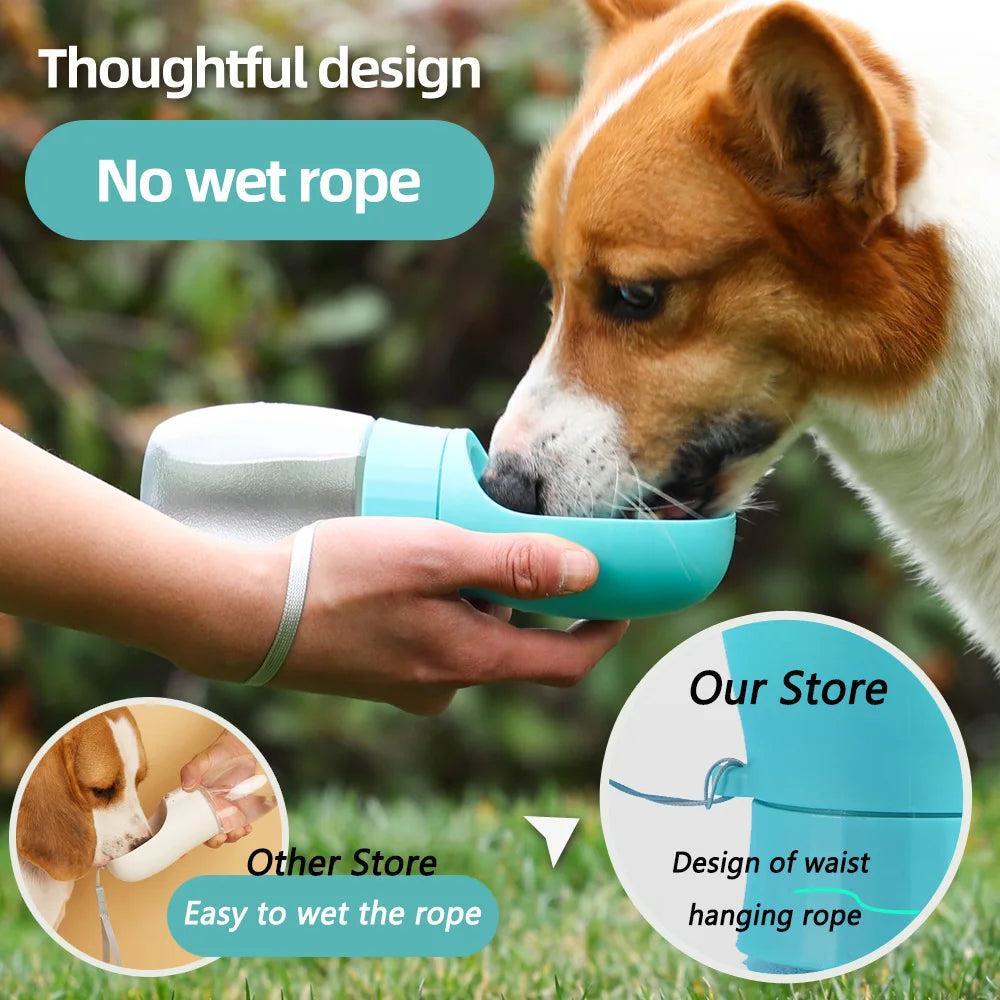 Travel Water Bottle
