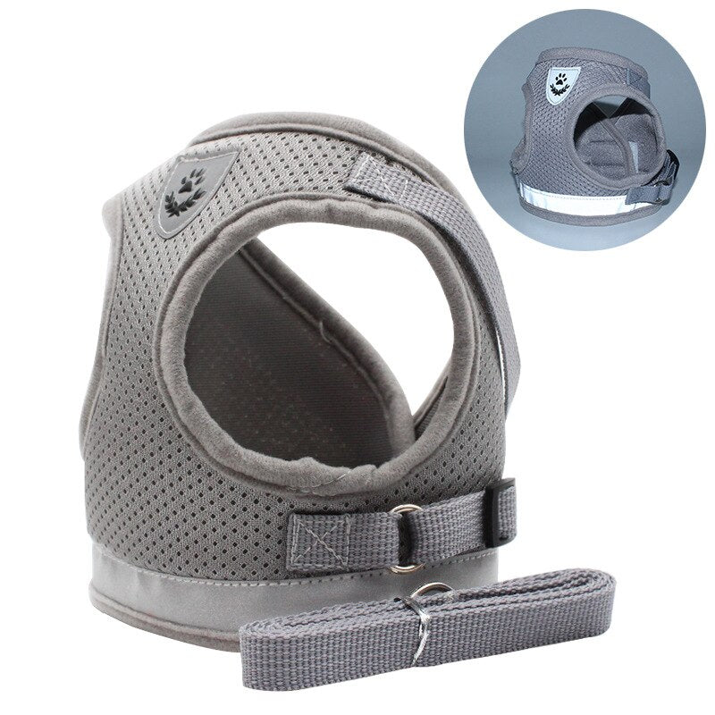 Reflective Mesh Harness