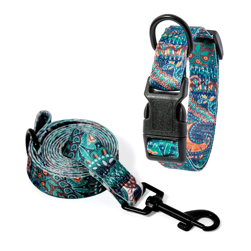 Collar and Leash Set