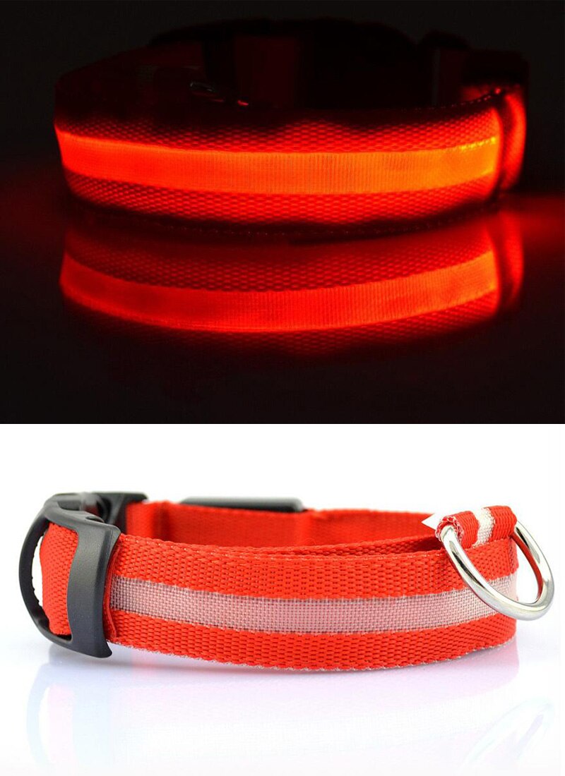 LED Safety Collar