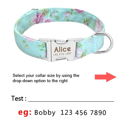 Personalized Nylon Collar