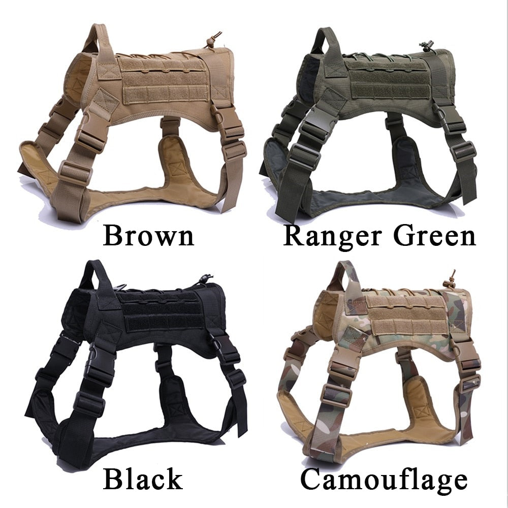 Harness and Leash Set