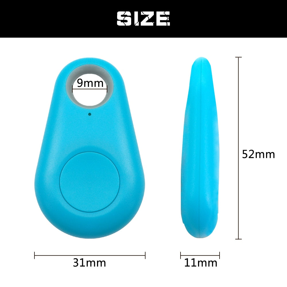 Bluetooth Pet Tag