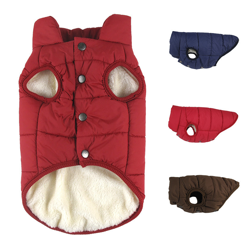 Winter Coat