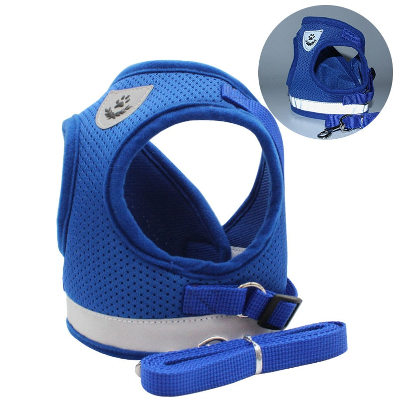 Reflective Mesh Harness