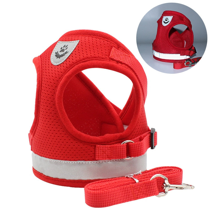 Reflective Mesh Harness