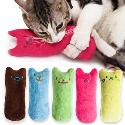 Catnip Plush Toy