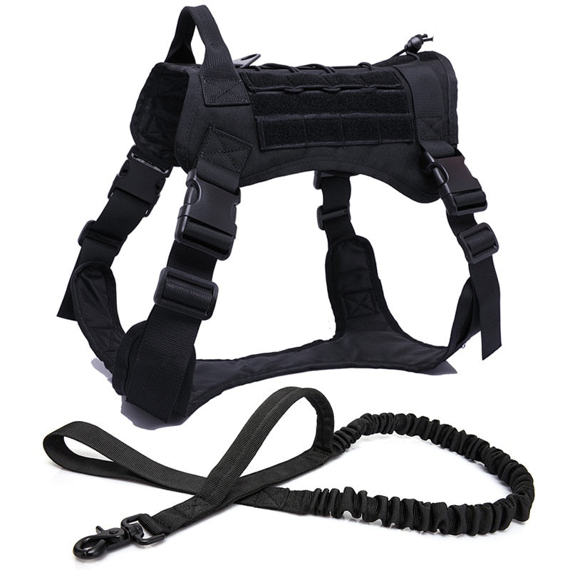 Harness and Leash Set