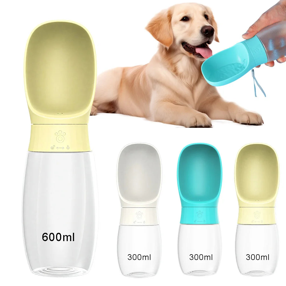 Travel Water Bottle