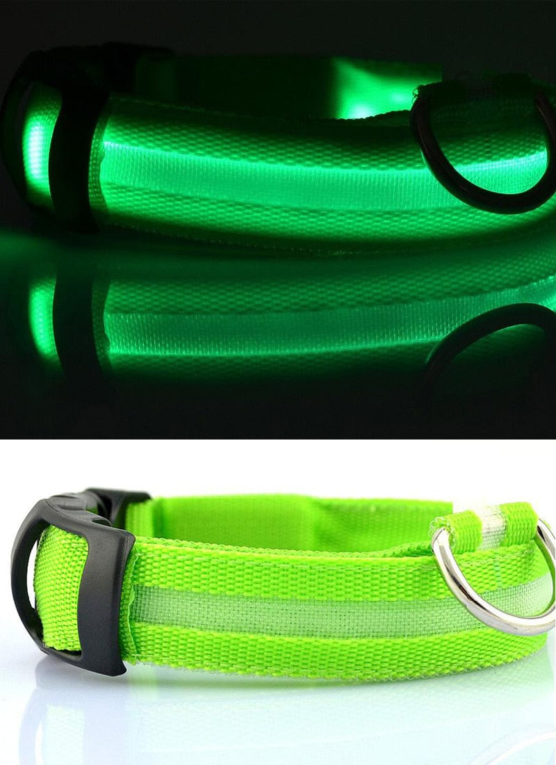 LED Safety Collar