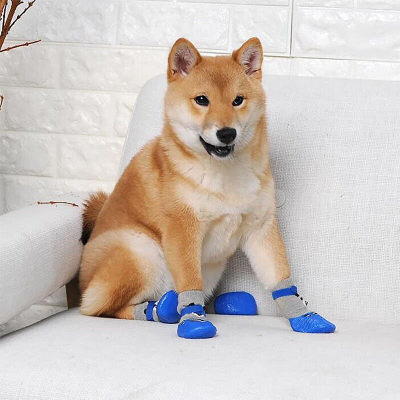 Teddy Bear Socks