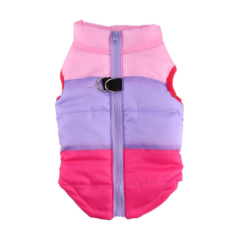 Winter Vest