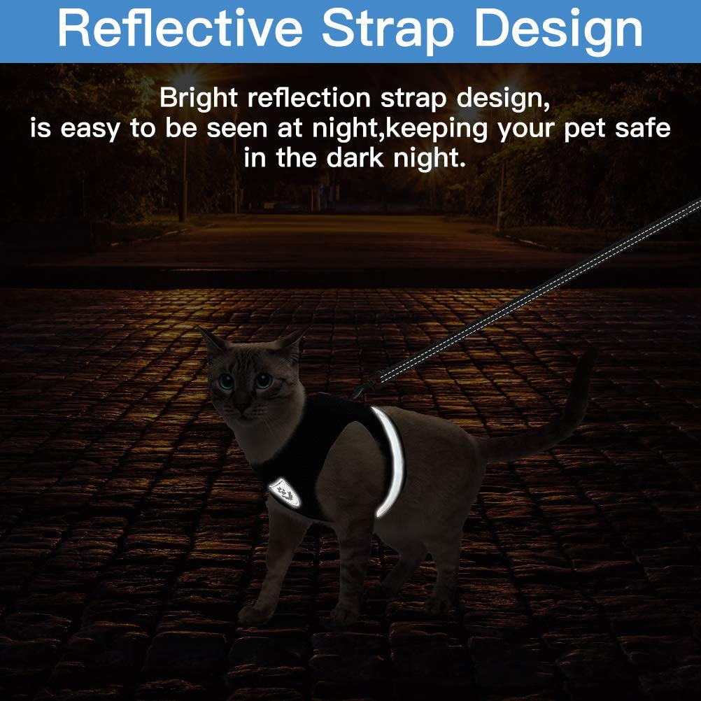 Reflective Mesh Harness