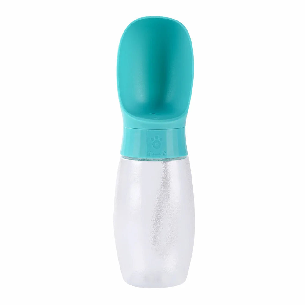 Travel Water Bottle