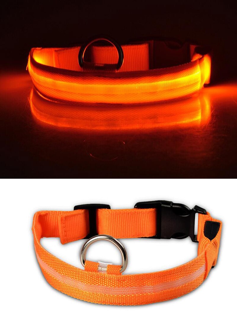 LED Safety Collar